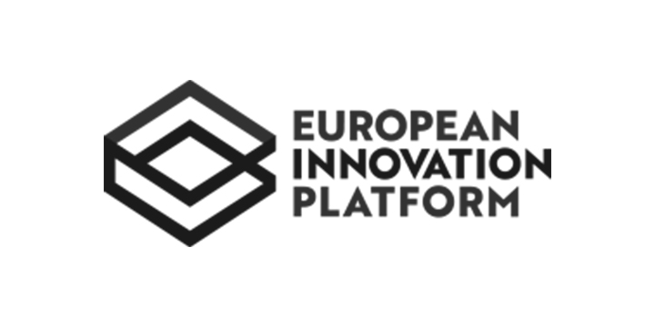European Innovation Platform
